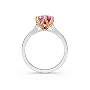 tulips1_shank-white_head-rose_center-pink__view-04.png