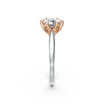 tulips1_shank-white_head-rose_center-white__view-03.png