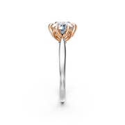 tulips1_shank-white_head-rose_center-white__view-03.png