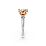 tulips1_shank-white_head-rose_center-yellow__view-02.png