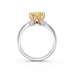 tulips1_shank-white_head-rose_center-yellow__view-03.png