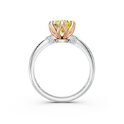 tulips1_shank-white_head-rose_center-yellow__view-03.png
