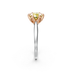 tulips1_shank-white_head-rose_center-yellow__view-03.png