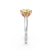 tulips1_shank-white_head-rose_center-yellow__view-03.png