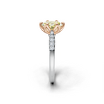 tulips1_shank-white_head-rose_center-yellow__view-03.png