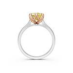 tulips1_shank-white_head-rose_center-yellow__view-04.png