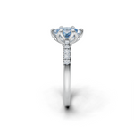 tulips1_shank-white_head-white_center-blue__view-03.png