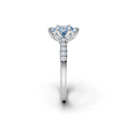 tulips1_shank-white_head-white_center-blue__view-03.png