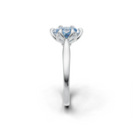 tulips1_shank-white_head-white_center-blue__view-03.png
