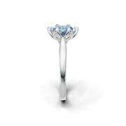 tulips1_shank-white_head-white_center-blue__view-03.png