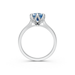 tulips1_shank-white_head-white_center-blue__view-04.png