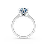 tulips1_shank-white_head-white_center-blue__view-04.png