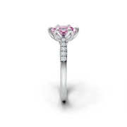 tulips1_shank-white_head-white_center-pink__view-03.png