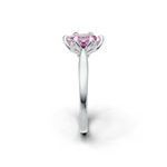 tulips1_shank-white_head-white_center-pink__view-03.png