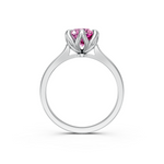tulips1_shank-white_head-white_center-pink__view-04.png