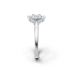 tulips1_shank-white_head-white_center-white__view-03.png