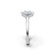 tulips1_shank-white_head-white_center-white__view-03.png