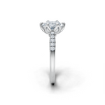 tulips1_shank-white_head-white_center-white__view-03.png