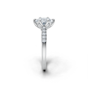 tulips1_shank-white_head-white_center-white__view-03.png