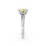 tulips1_shank-white_head-white_center-yellow__view-02.png