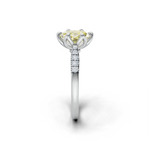 tulips1_shank-white_head-white_center-yellow__view-03.png
