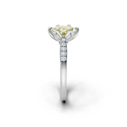 tulips1_shank-white_head-white_center-yellow__view-03.png