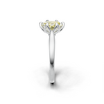 tulips1_shank-white_head-white_center-yellow__view-03.png