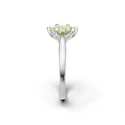 tulips1_shank-white_head-white_center-yellow__view-03.png
