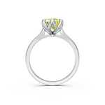 tulips1_shank-white_head-white_center-yellow__view-04.png