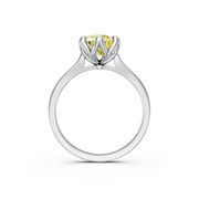 tulips1_shank-white_head-white_center-yellow__view-04.png