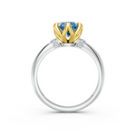 tulips1_shank-white_head-yellow_center-blue__view-03.png