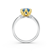 tulips1_shank-white_head-yellow_center-blue__view-03.png