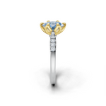 tulips1_shank-white_head-yellow_center-blue__view-03.png