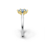 tulips1_shank-white_head-yellow_center-blue__view-03.png