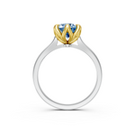 tulips1_shank-white_head-yellow_center-blue__view-04.png