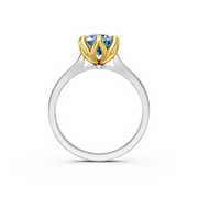 tulips1_shank-white_head-yellow_center-blue__view-04.png
