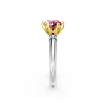 tulips1_shank-white_head-yellow_center-pink__view-02.png