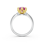 tulips1_shank-white_head-yellow_center-pink__view-03.png