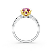 tulips1_shank-white_head-yellow_center-pink__view-03.png
