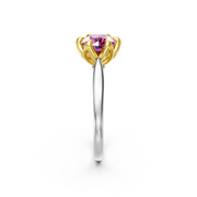 tulips1_shank-white_head-yellow_center-pink__view-03.png