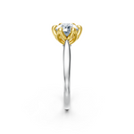 tulips1_shank-white_head-yellow_center-white__view-03.png