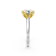 tulips1_shank-white_head-yellow_center-white__view-03.png