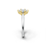 tulips1_shank-white_head-yellow_center-white__view-03.png