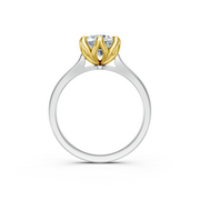tulips1_shank-white_head-yellow_center-white__view-04.png