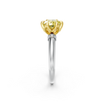 tulips1_shank-white_head-yellow_center-yellow__view-02.png