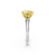 tulips1_shank-white_head-yellow_center-yellow__view-02.png