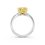 tulips1_shank-white_head-yellow_center-yellow__view-03.png