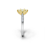 tulips1_shank-white_head-yellow_center-yellow__view-03.png