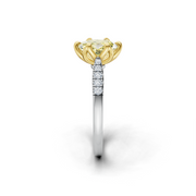 tulips1_shank-white_head-yellow_center-yellow__view-03.png