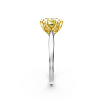 tulips1_shank-white_head-yellow_center-yellow__view-03.png